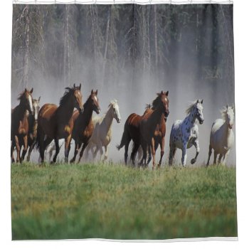 Horse Shower Curtain by JeanPittenger_7777 at Zazzle