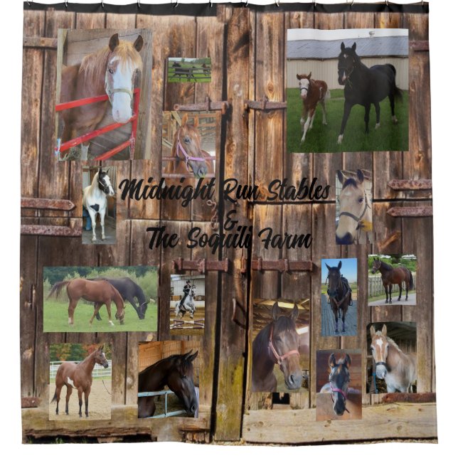 Horse Shower Curtain  (Front)