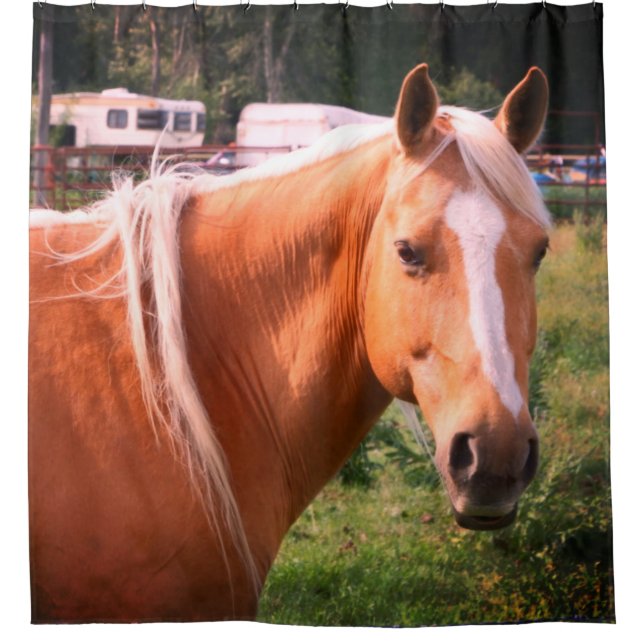 Horse Shower Curtain (Front)