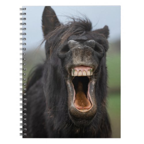 Horse Showing His Teeth Notebook