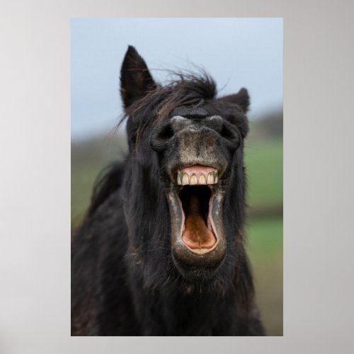 Horse Showing His Teeth Poster