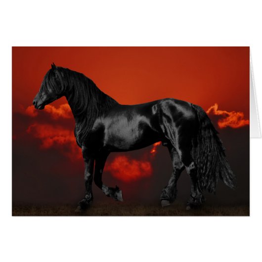 Horse silhouette at sunset cards (Front Horizontal)