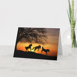 Horse Silhouette Birthday Fun Card