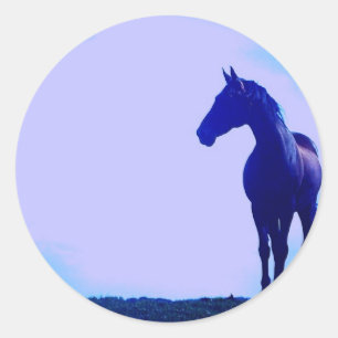 Horse Silhouette Design Sticker