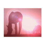 Horse Silhouette Postcard