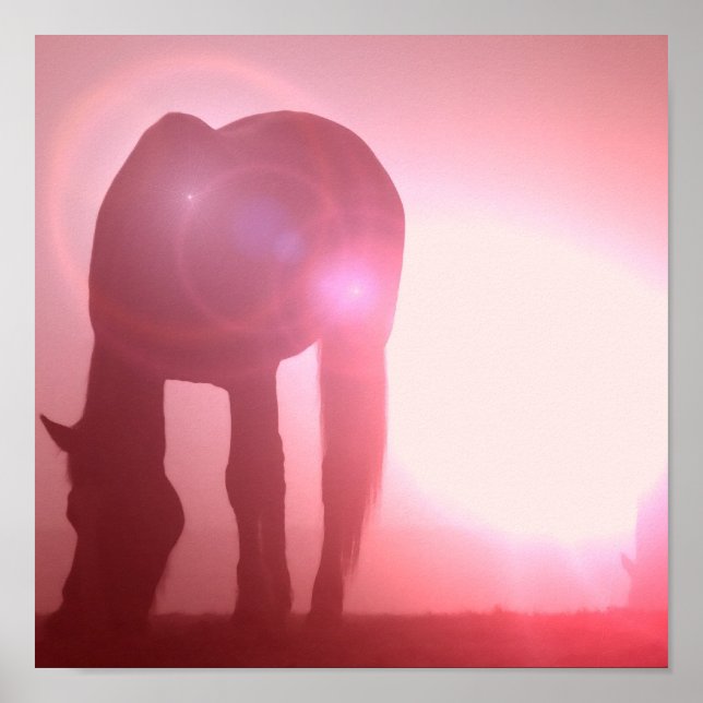 Horse Silhouette Poster Print (Front)