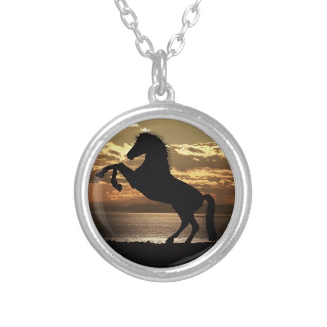 horse silver plated necklace (Front)