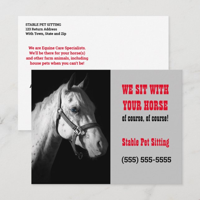 Horse Sitter Business Postcard Mailer or Handout (Front/Back)