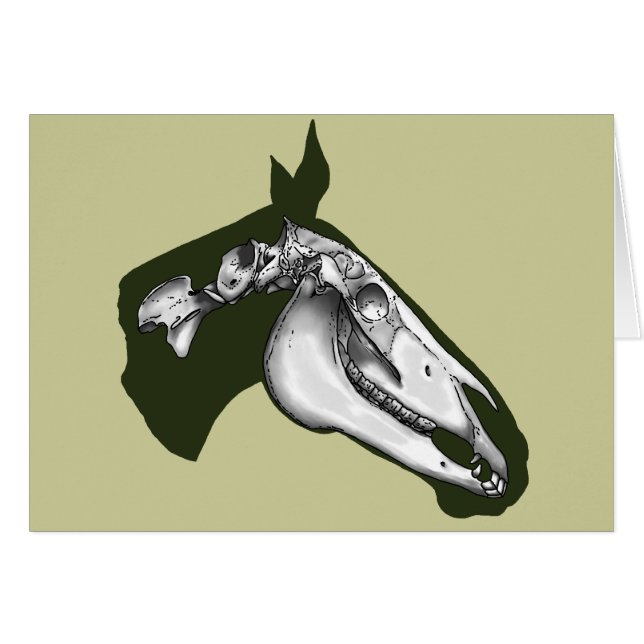 Horse Skeleton Cards (Front Horizontal)