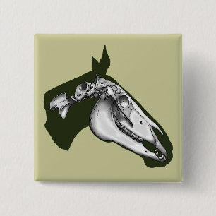 Horse Skeleton Pinback Button