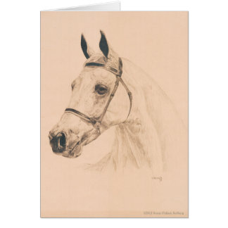 Horse sketch by Susan Pelisek Kolberg Cards