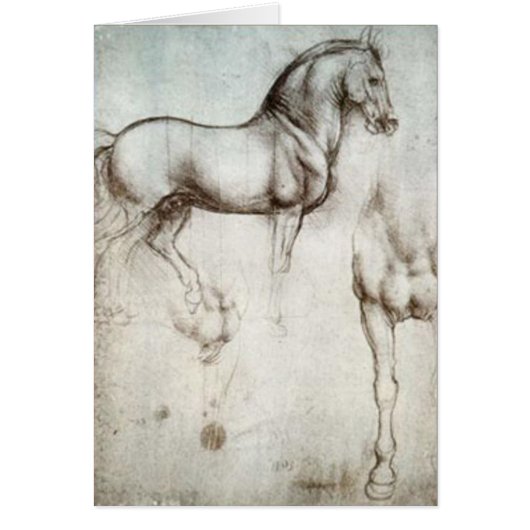 Horse Sketch Cards (Front)