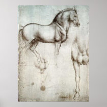 Horse Sketch Poster