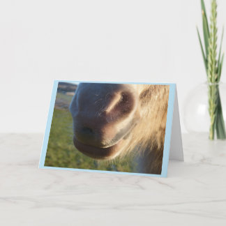 Horse smile Card