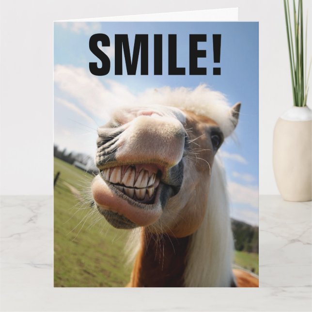 HORSE SMILING FUNNY BIRTHDAY GREETING CARD (Front)