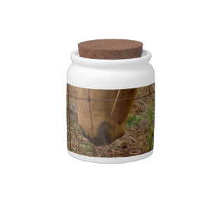 horse & Spring flower Bunny Candy Jar