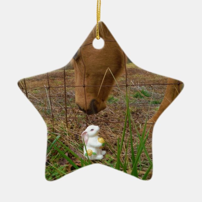 horse & Spring flower Bunny Ceramic Ornament (Front)