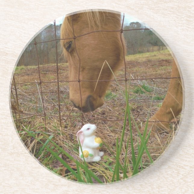 horse & Spring flower Bunny Drink Coaster (Front)