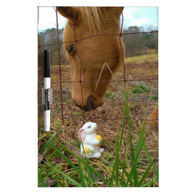 horse & Spring flower Bunny Dry-Erase Board (Front)