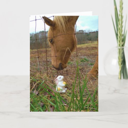 horse  Spring flower Bunny Holiday Card