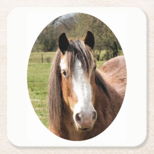 HORSE SQUARE PAPER COASTER
