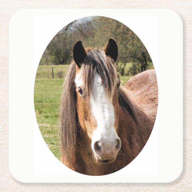 HORSE SQUARE PAPER COASTER (Front)