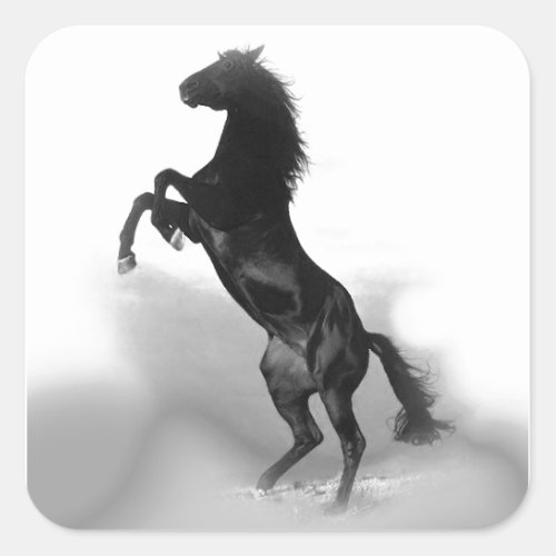 Horse Square Sticker