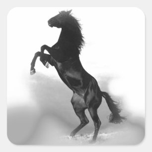 Horse Square Sticker