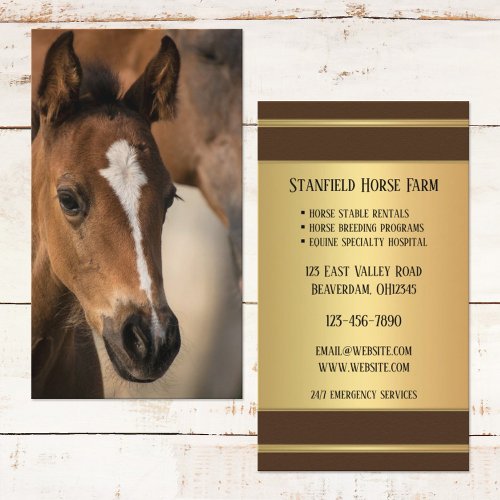 Horse Stables Professional Business Card