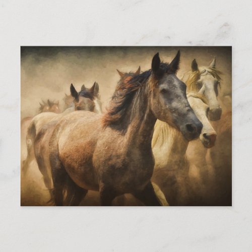horse stampede postcard