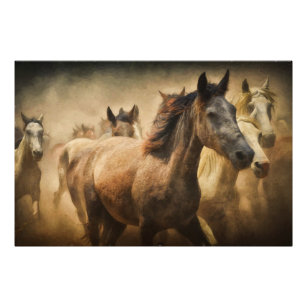 horse stampede poster