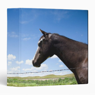 Horse standing at fence in pasture 3 ring binder