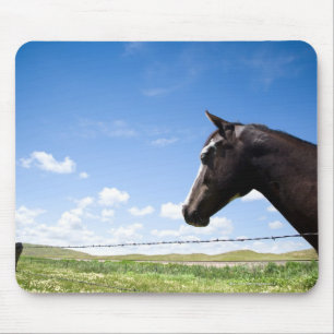 Horse standing at fence in pasture mouse pad