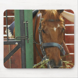 Horse standing in a stable mouse pad