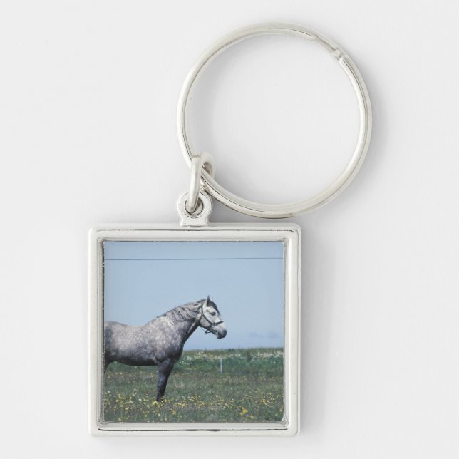 Horse standing in field keychain (Front)