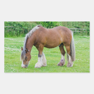 Horse stickers