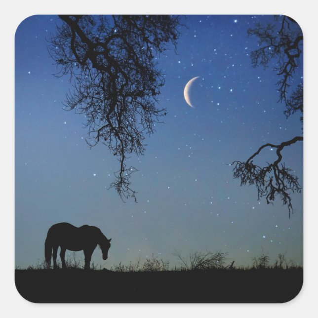 Horse Stickers Horse and Crescent Moon Fantasy (Front)