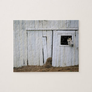 Horse Sticking Head out Barn Window Jigsaw Puzzle