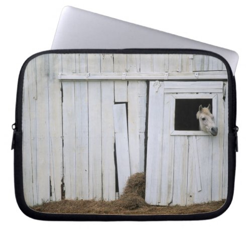 Horse Sticking Head out Barn Window Laptop Sleeve