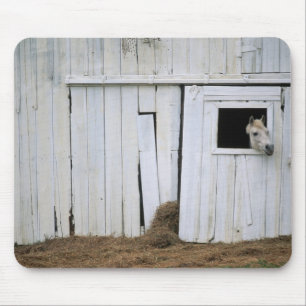 Horse Sticking Head out Barn Window Mouse Pad