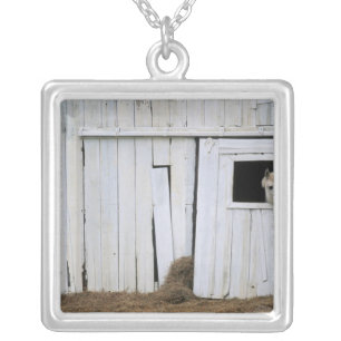 Horse Sticking Head out Barn Window Silver Plated Necklace