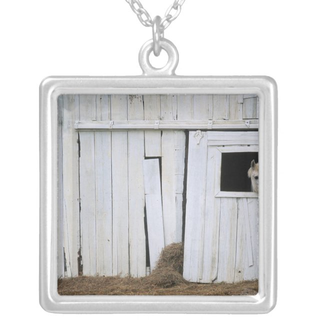 Horse Sticking Head out Barn Window Silver Plated Necklace (Front)