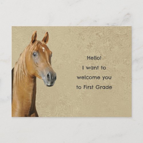 Horse Student Welcome From Teacher Postcard
