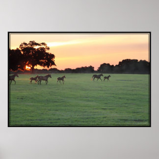 Horse Sunset Art Poster -60x40 -click for smaller