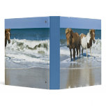 Horse Swim Binder