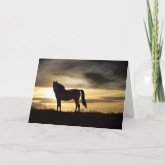 Horse Sympathy Card