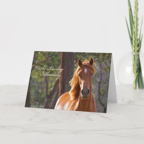 Horse Sympathy Card