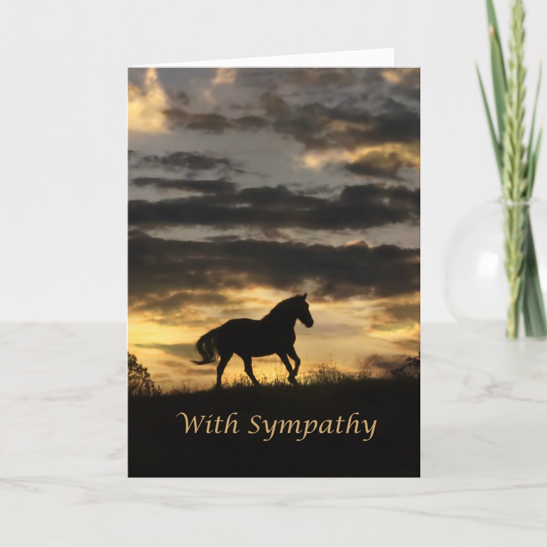 Horse Sympathy Card, Condolences Cards Zazzle