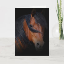Horse Sympathy Card for Loss of Horse