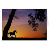 Horse Sympathy Card Spirit of the Horse (Front Horizontal)